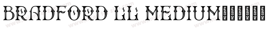 Bradford LL Medium字体转换